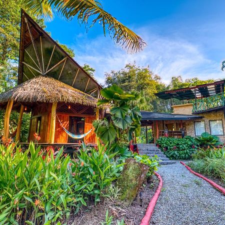 Tree House Beachfront Lodge Puerto Viejo de Talamanca Luaran gambar