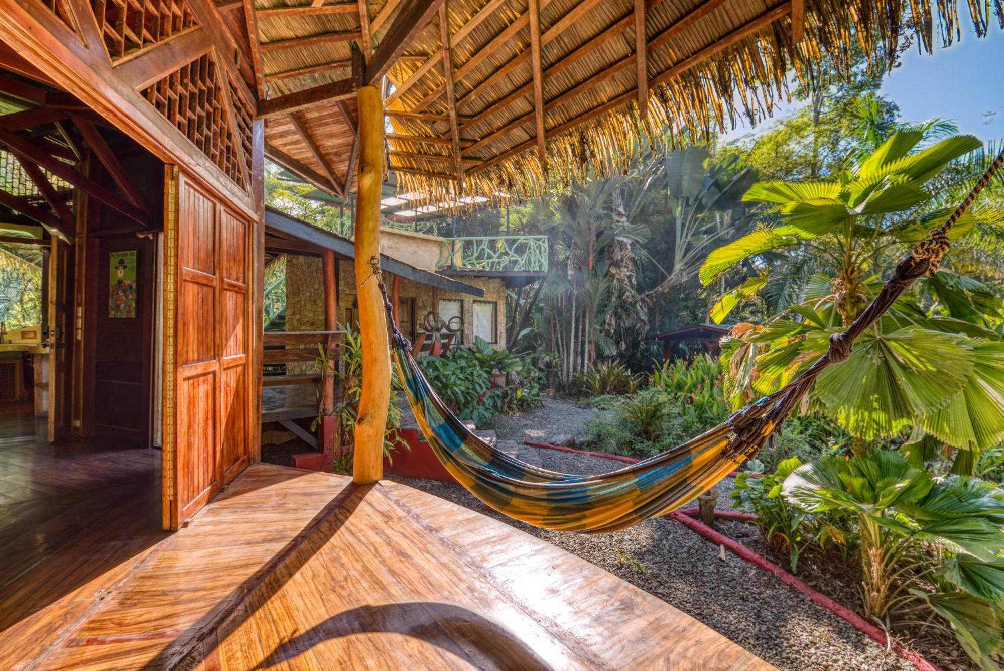 Tree House Beachfront Lodge Puerto Viejo de Talamanca Luaran gambar