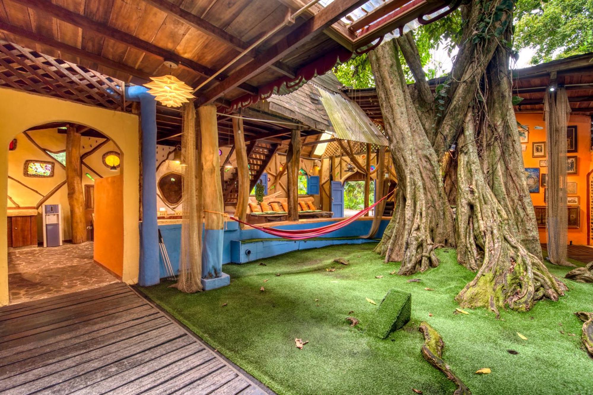 Tree House Beachfront Lodge Puerto Viejo de Talamanca Luaran gambar