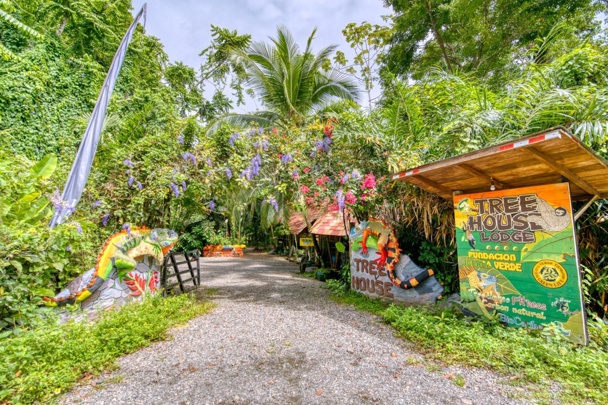 Tree House Beachfront Lodge Puerto Viejo de Talamanca Luaran gambar
