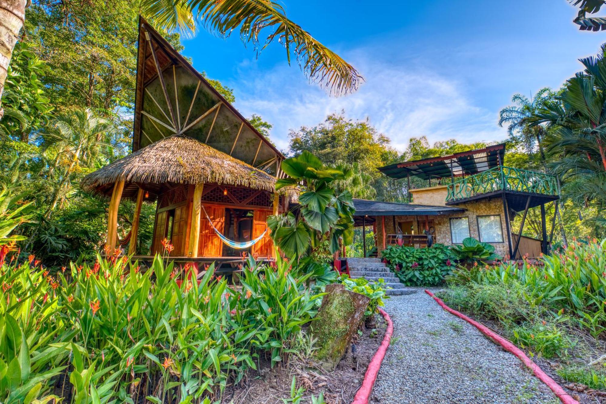 Tree House Beachfront Lodge Puerto Viejo de Talamanca Luaran gambar