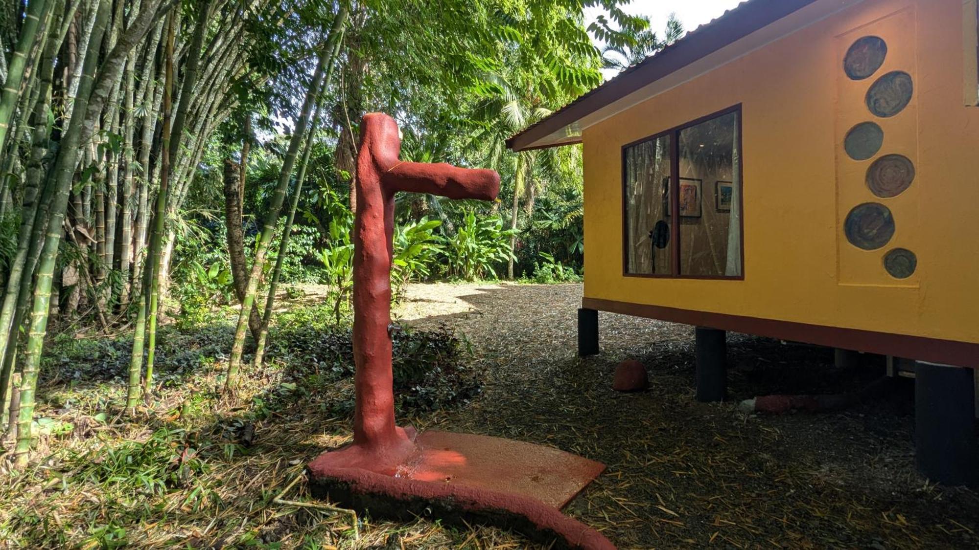 Tree House Beachfront Lodge Puerto Viejo de Talamanca Luaran gambar
