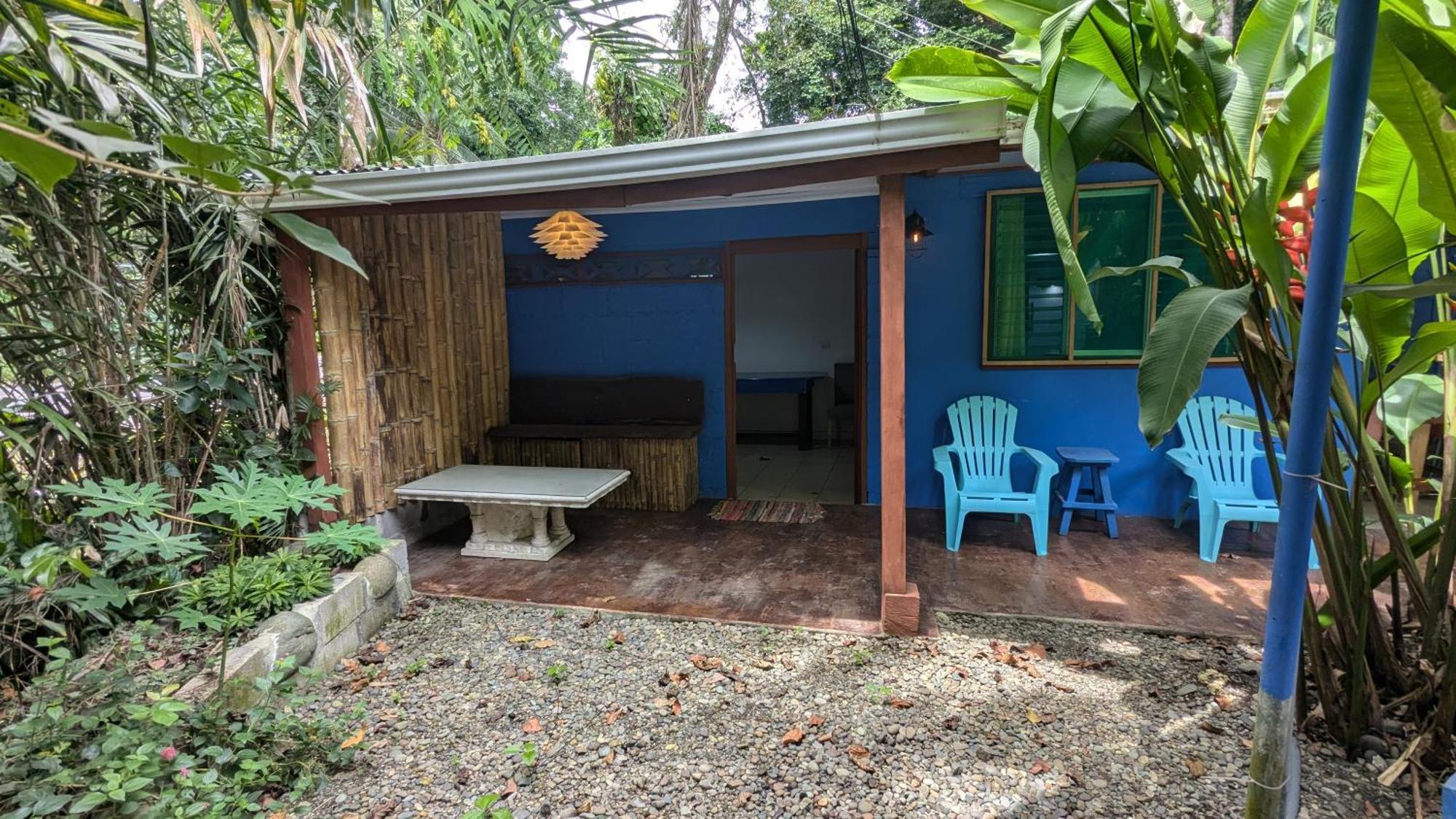 Tree House Beachfront Lodge Puerto Viejo de Talamanca Luaran gambar