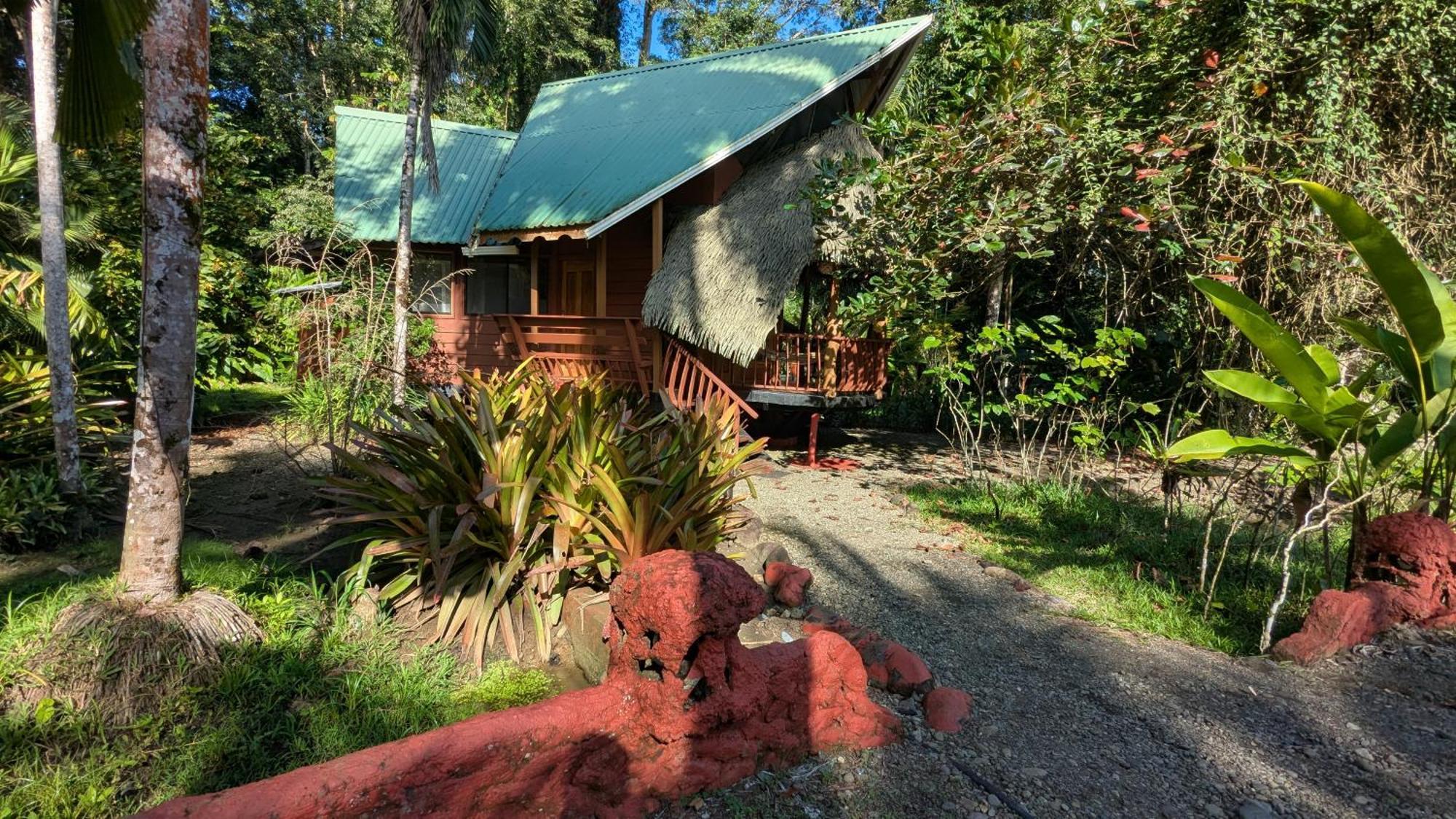 Tree House Beachfront Lodge Puerto Viejo de Talamanca Luaran gambar