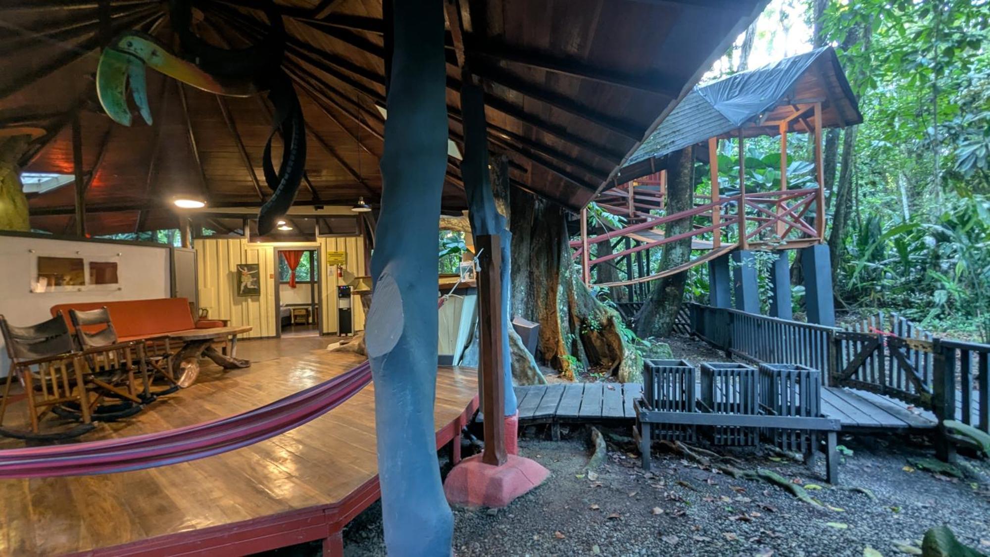 Tree House Beachfront Lodge Puerto Viejo de Talamanca Luaran gambar