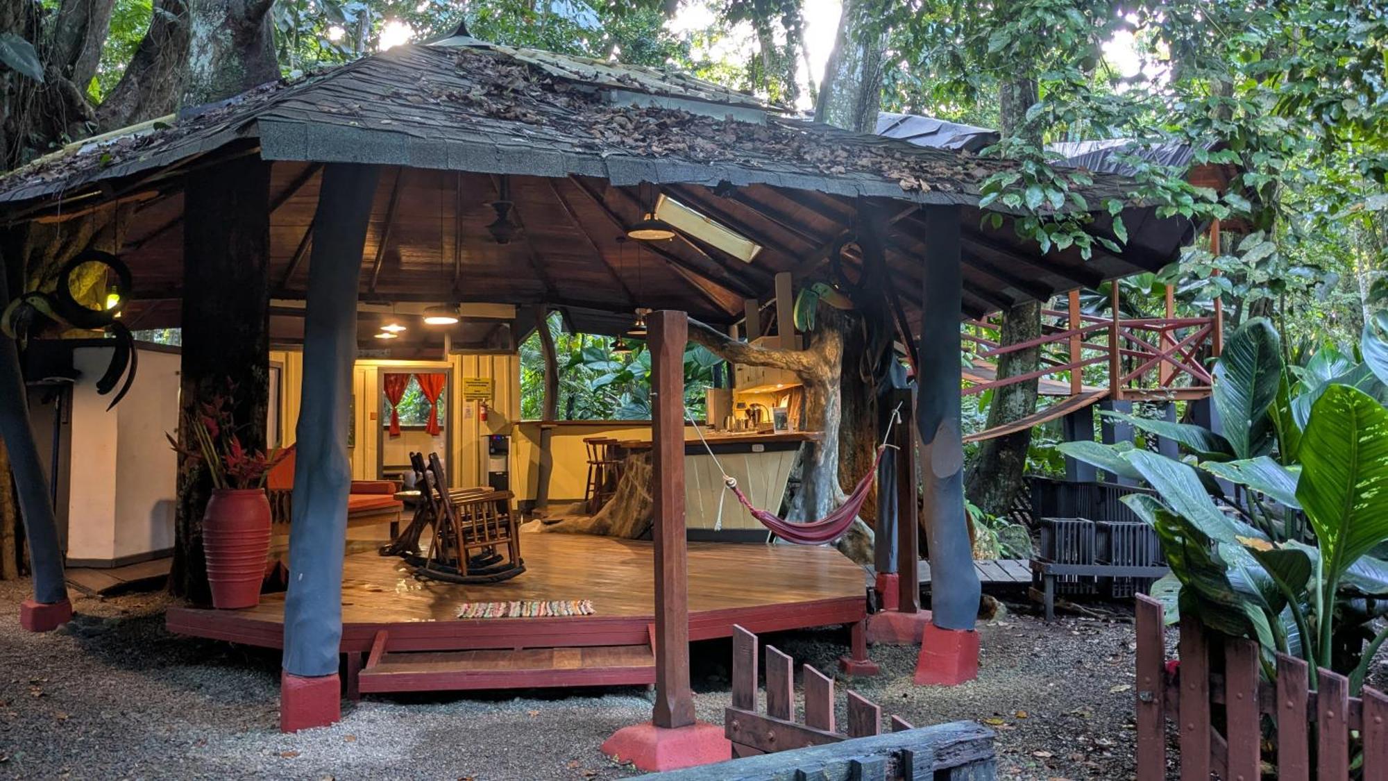Tree House Beachfront Lodge Puerto Viejo de Talamanca Luaran gambar