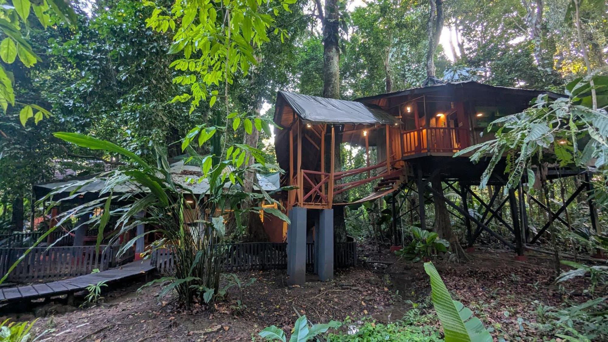 Tree House Beachfront Lodge Puerto Viejo de Talamanca Luaran gambar