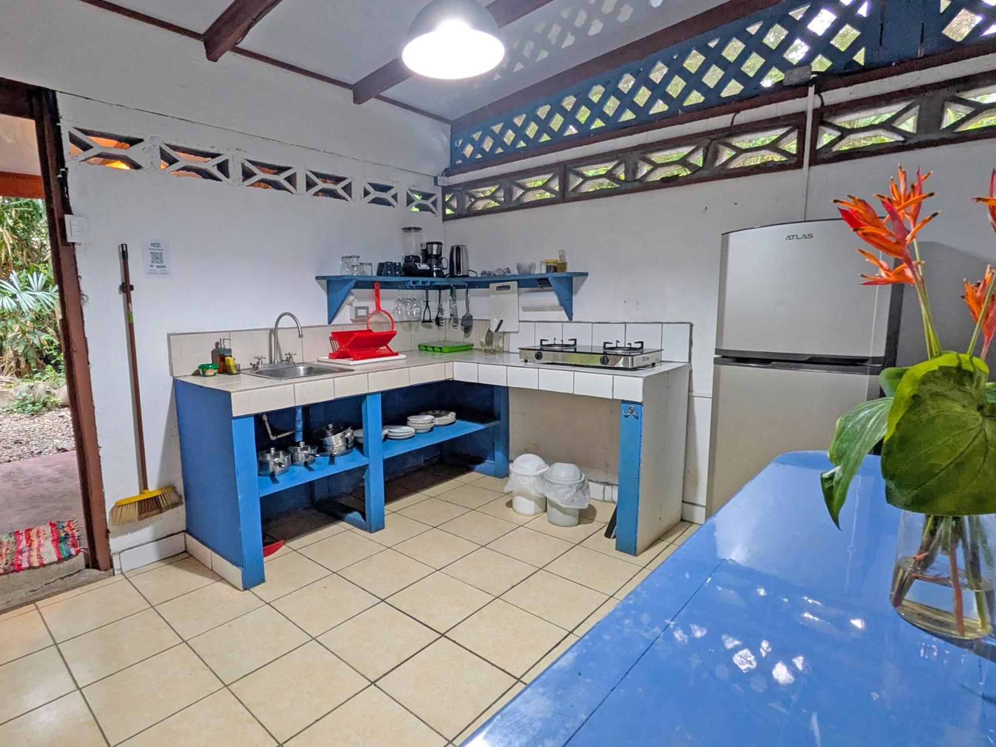 Tree House Beachfront Lodge Puerto Viejo de Talamanca Luaran gambar